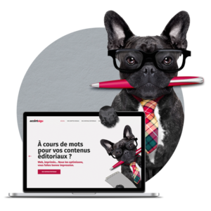 Rédaction de contenus web.